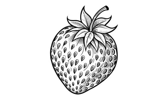 Download Hand Drawn Black and White Strawberry - Premium Bundle